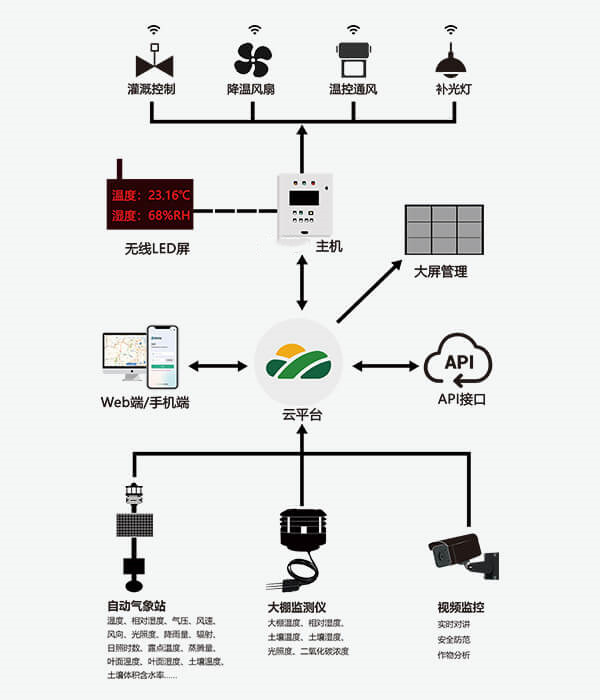 1719271386531044.jpg 2345_image_file_copy_1.jpg