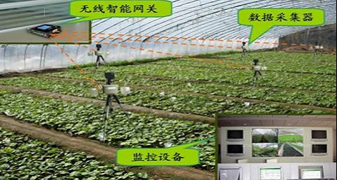 1719752448211200.jpg 2345_image_file_copy_58.jpg